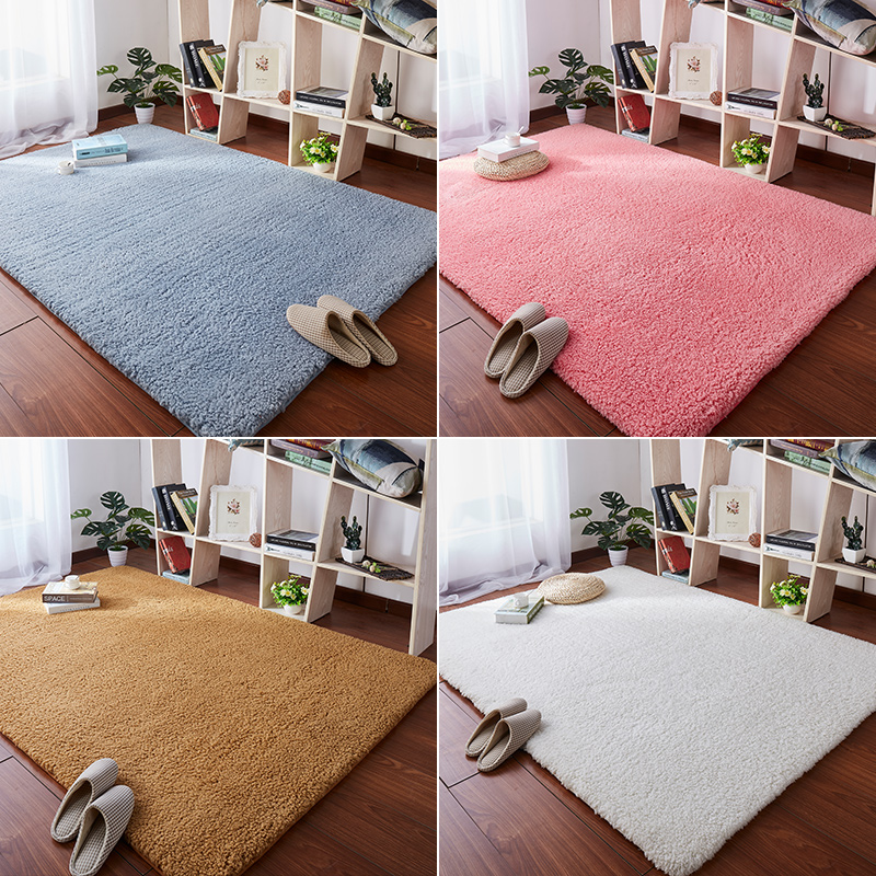 加厚毛绒床边地毯卧室满铺少女网红房间布置地毯家用客厅茶几地垫