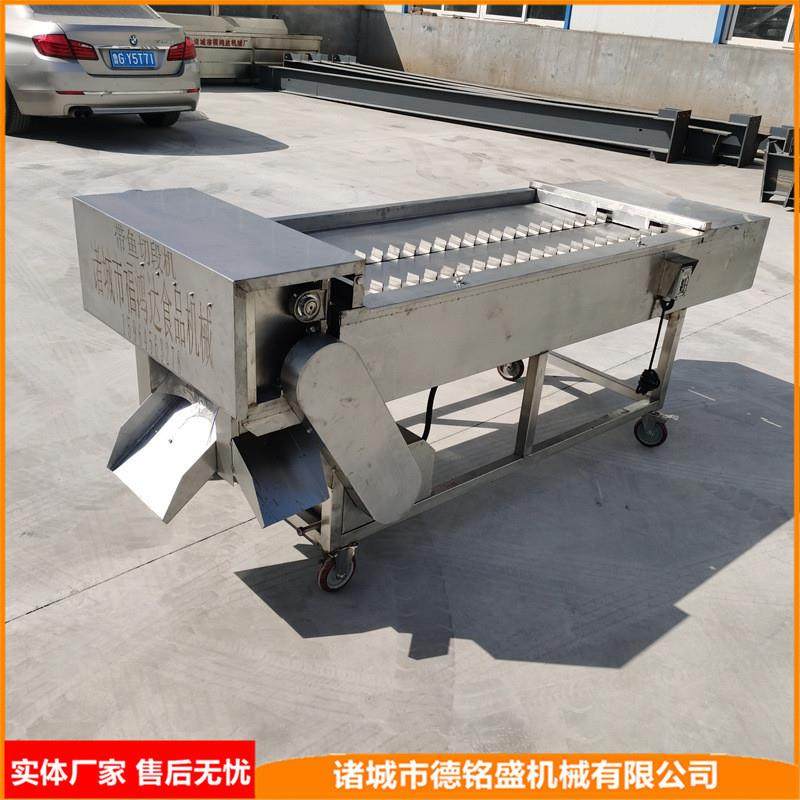 切鱼块设备 冷冻鱼切割机 切头去为带鱼分段机