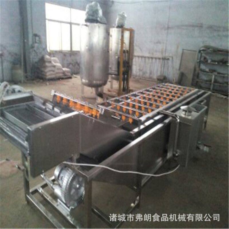 不锈钢全自动果蔬气泡清洗机 清洗风干分选流水线 超声波清洗机
