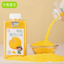 中贵联农有机黄小米新米儿童小米粥送宝宝婴儿专用辅食谱敖汉小米