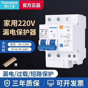 DZ47LE-63漏电保护器2p3p4p32a63a小型家用电闸总开关c45漏电开关