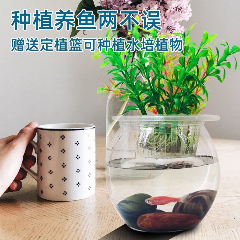 防摔塑料鱼缸客厅小型桌面迷你鱼缸仿玻璃圆形金鱼缸乌龟造景家用