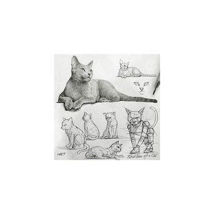 美术临摹卡绘画参考钢笔画结构关系少儿美术生画画范本72张高清