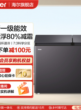 海尔216L冰柜家用小型冷藏冷冻两用商用卧式冷柜零下双温节能冰箱