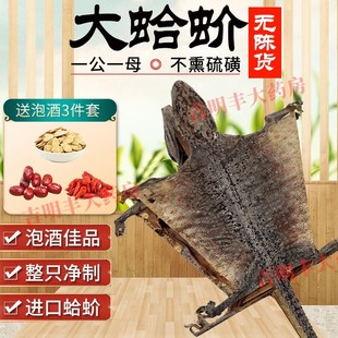 野生特大蛤蚧干货公母一对蚧蛤中药饮片补血益气炖汤泡酒官方正品