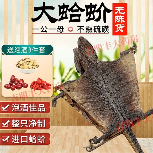 中药饮片特大蛤蚧一对干货蚧蛤粉