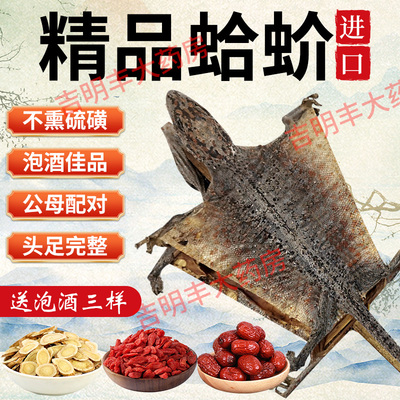进口特大蛤蚧中药材一对补血益气