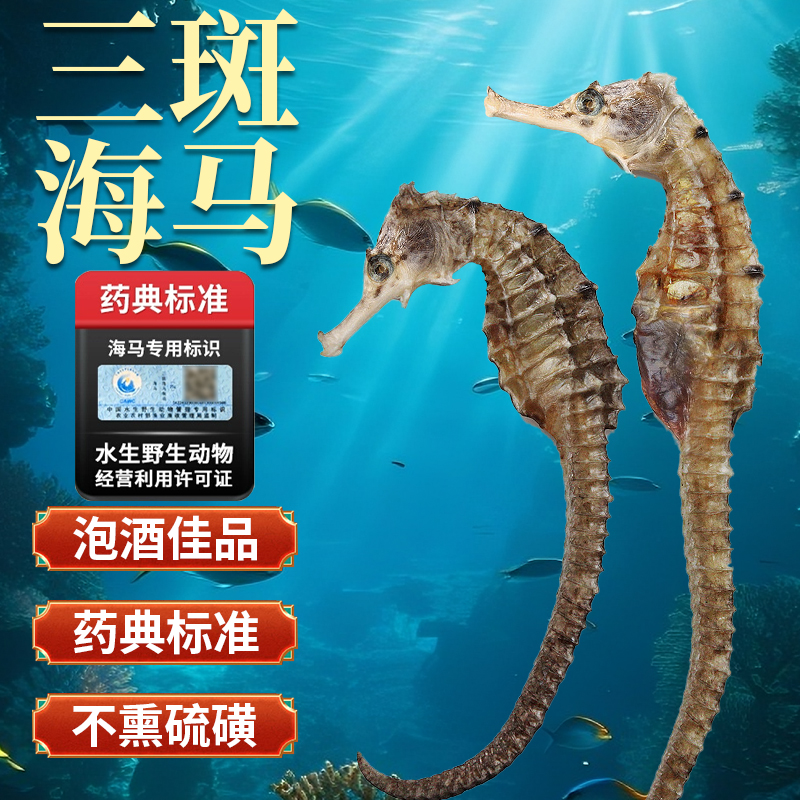 正品海马干货一对2g中药材泡酒三斑海龙炖汤官方旗舰店正品
