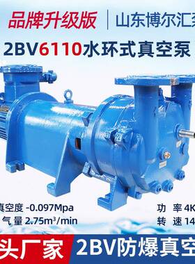 2BV6110-Ex防爆式真空泵抽气泵电机4kw防爆水环式真空泵厂家博山