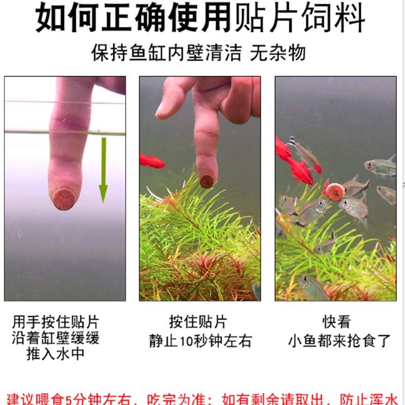 德中小型鱼贴片鱼食孔雀鱼饲料水族热带鱼金鱼灯鱼通用型鱼粮包邮,宠物/宠物食品及用品,观赏鱼饲料,淘宝优惠券,粉丝福利购,淘宝优惠卷