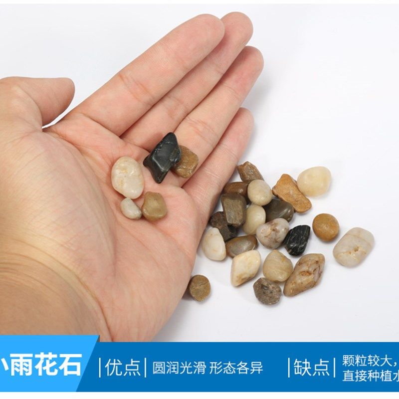鱼缸底砂造景装饰石头河沙子细天然底沙海雨花石鹅卵石养乌龟过滤,宠物/宠物食品及用品,造景/装饰,淘宝优惠券,粉丝福利购,淘宝优惠卷