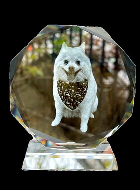 创意宠物去世留念摆件纪念品 小狗狗猫咪定制照片3d内雕灯光挂件