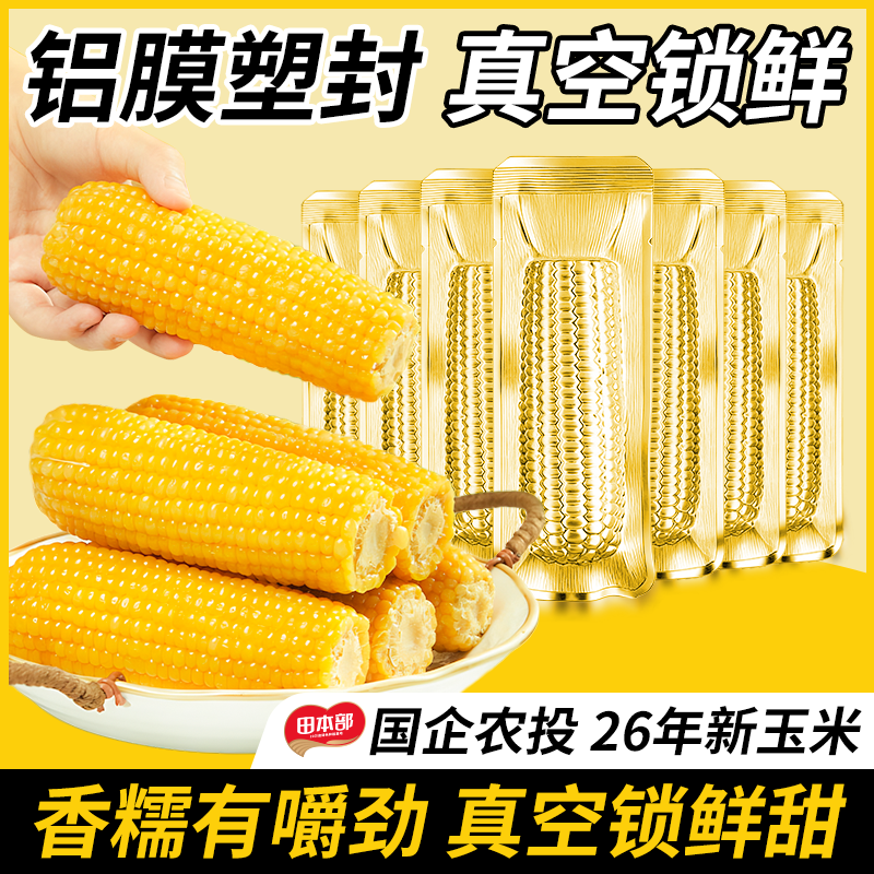 农投头茬新鲜东北黄糯玉米金箔装