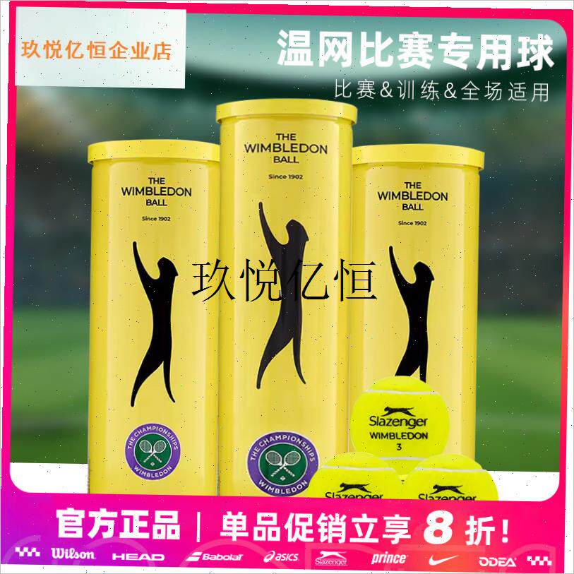 网球施莱辛格温网铁罐M豹子3/4粒装专业比赛网,