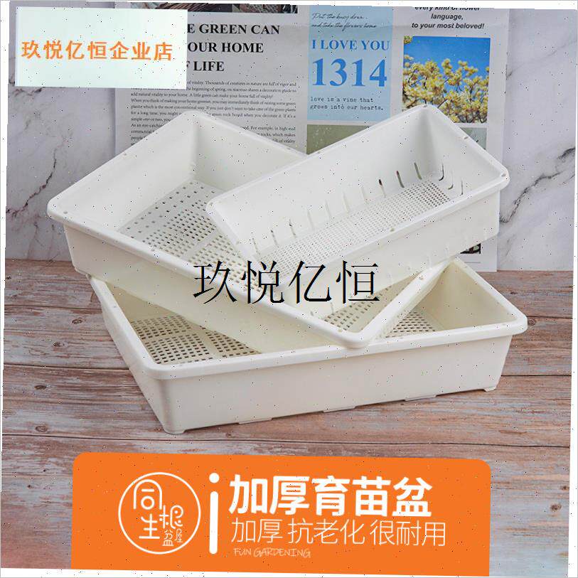 白色加厚多肉育苗盆带盖叶插播种器育苗L盘小号托盘闷养花盆收纳,