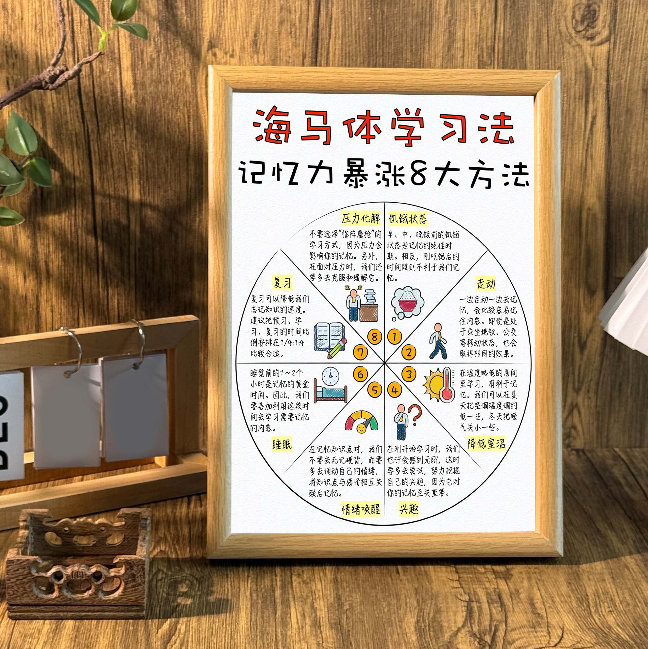 海马体背书学习记忆力增强8大方法相框摆台个人成长简约桌面摆件