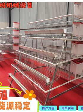 阶梯式养殖鸡笼 三层四层多门蛋鸡笼 可配绿食槽白食槽厂家