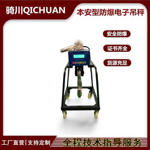 1000kg防爆电子吊秤本安型2吨吊钩称隔爆型3t5t10t15t吊磅
