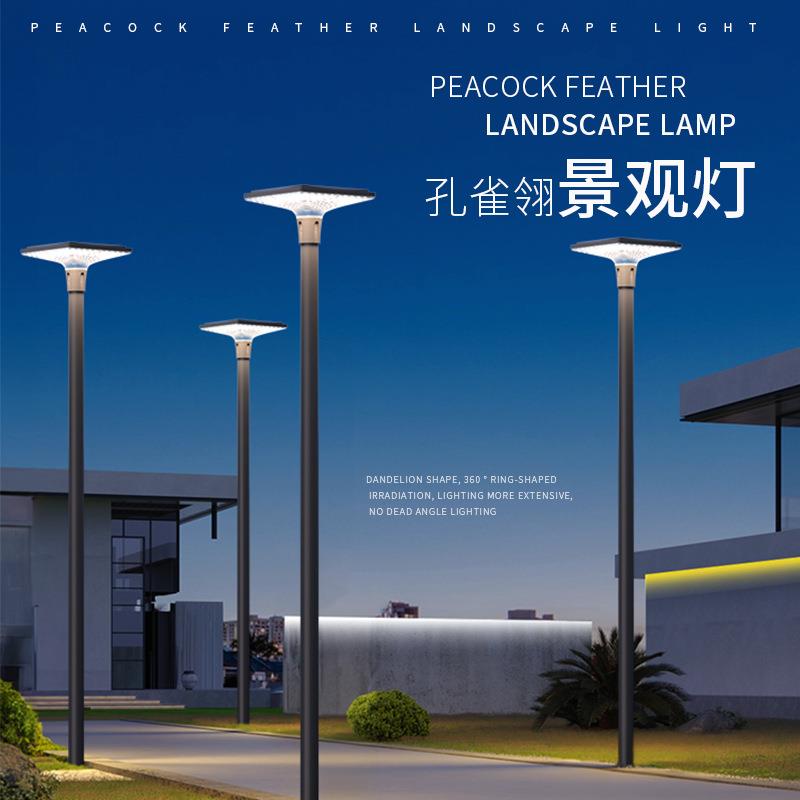 2025年新款太阳能庭院灯户外超亮3米接电小区路灯景观高杆灯照明