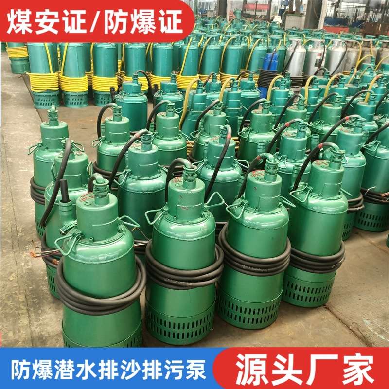 矿用隔爆型潜水排沙电泵BQS1.5kw千瓦350kw防爆潜污水泵380v660伏