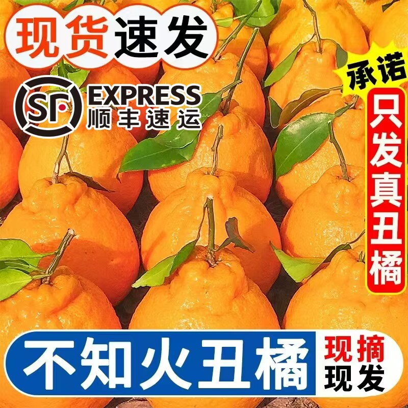 正宗四川眉山丑橘不知火新鲜水果当季整箱顺丰包邮丑八怪桔子橘子