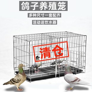 鸽子笼白鸽肉鸽养殖专用笼家用大号特F大大空间加粗笼子带隔断铁