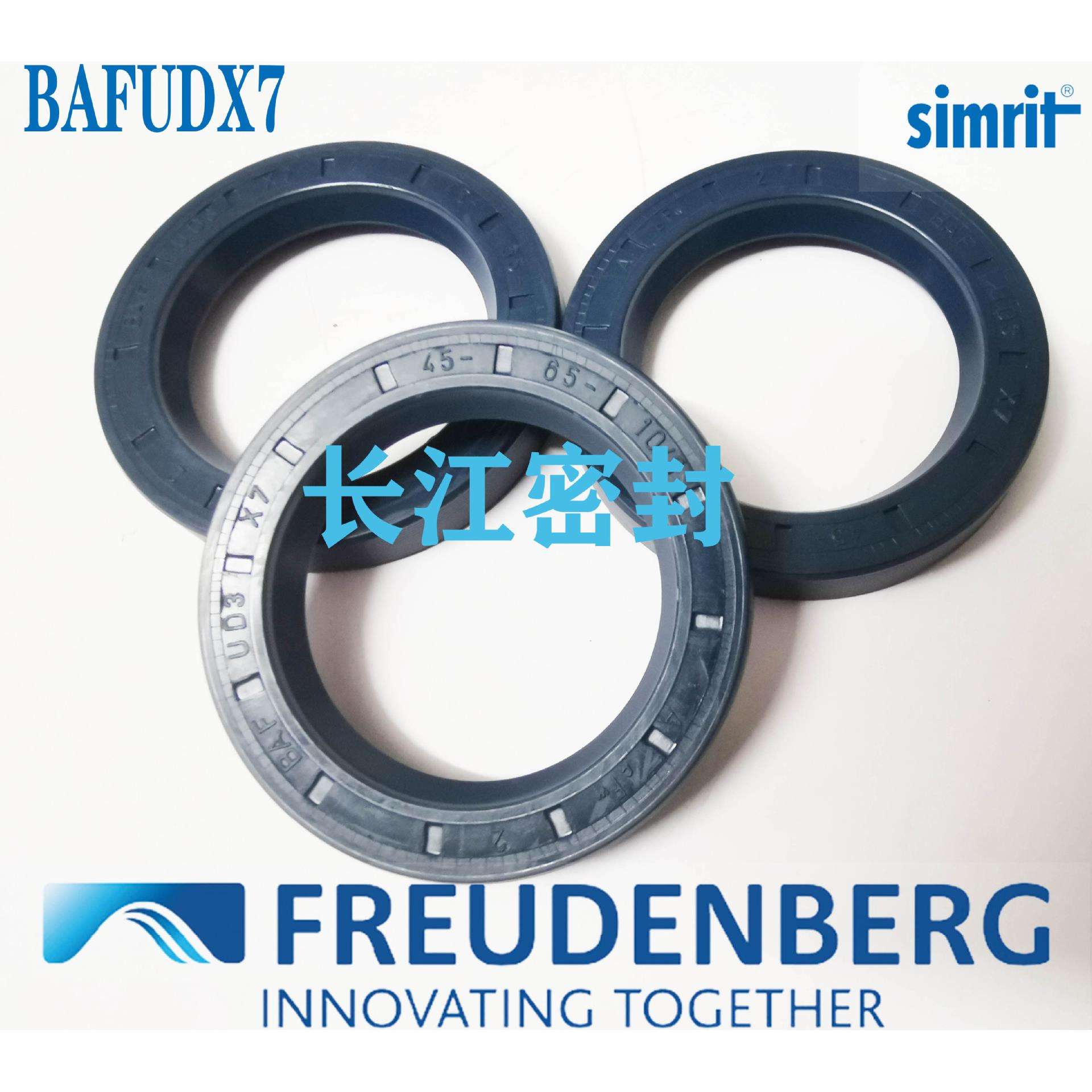 A CFW BAFUD3SLX7 42-65-10-8德国SIMRIT进口骨架油封