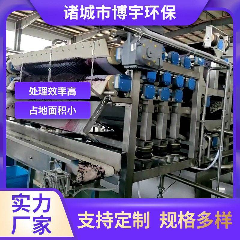 博宇桑葚大型榨汁机樱桃水果汁渣分离机工业级果汁机榨汁设备