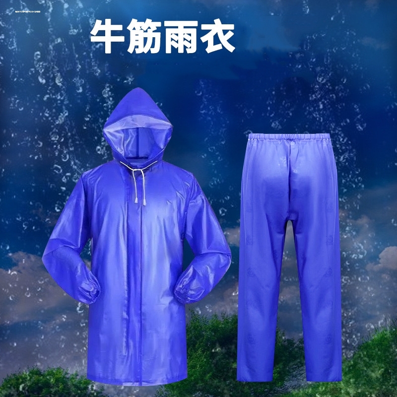 因为专注，所以专业！