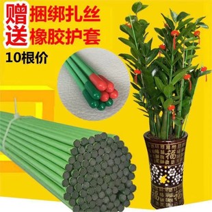 实心铁丝包塑花杆蝴蝶兰支架金钱树盆栽绣球扶正支撑棍花盆插杆