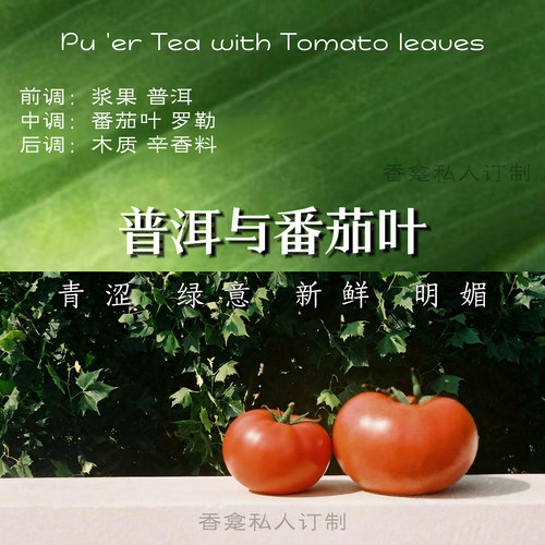 【普洱与番茄叶】茶&生番茄 南美限定冷门木质小众原创香氛喷雾女