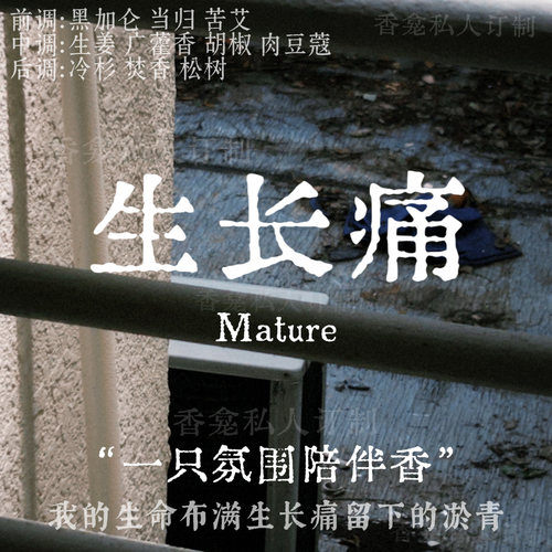 生长痛｜rose poem香龛私人订制 钝痛沉郁 中药焚香木质香氛喷雾