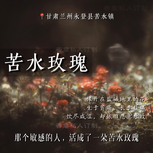 【苦水玫瑰】“开在盐碱地的花” 馥郁玫瑰 香龛原创小众香氛喷雾