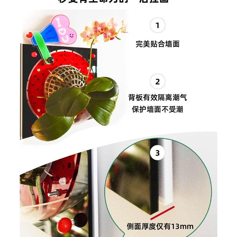 [黑白配色]蝴蝶兰鹿角蕨植物上板板植挂板壁挂懒人自吸水相框花盆