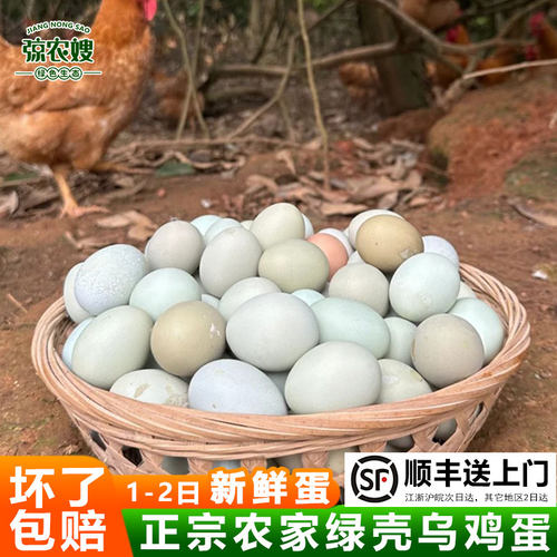 顺丰包邮正宗苏北农家散养乌鸡蛋