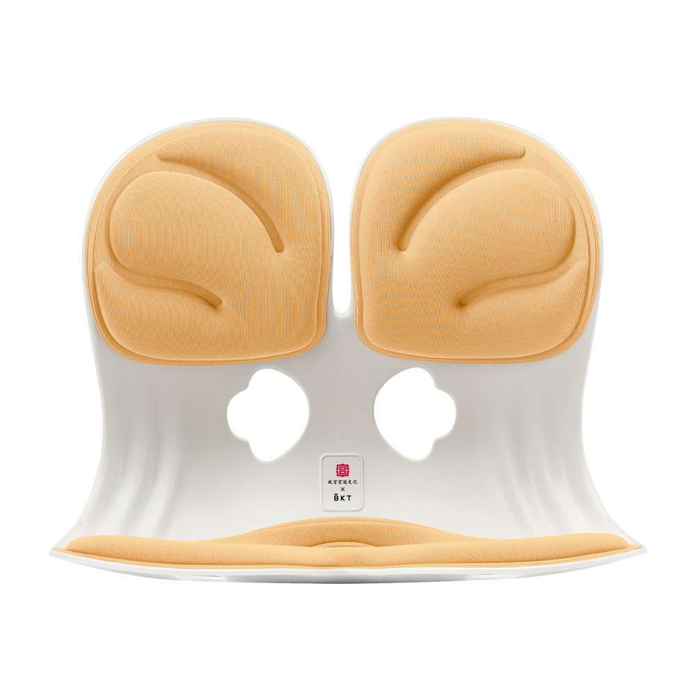 BKT护腰坐垫学习办公腰靠垫