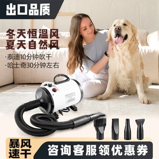 宠物吹水机狗狗专用商p用家用吹风机大功率静音狗猫咪烘干吹毛神