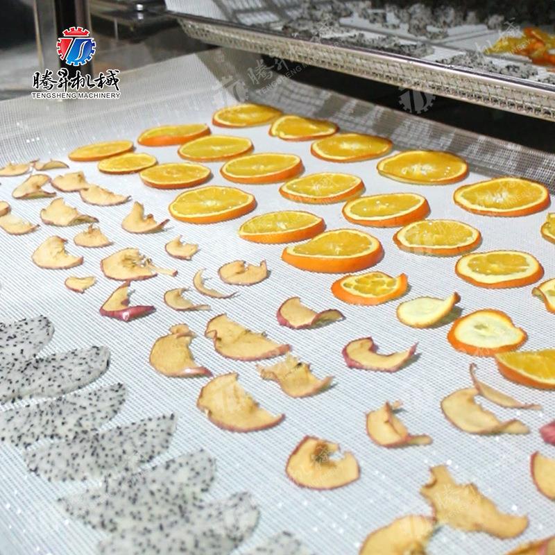 电加热烘干机 设箱式烘机备厂 热风干循环TS-G100 花椒烘干家机