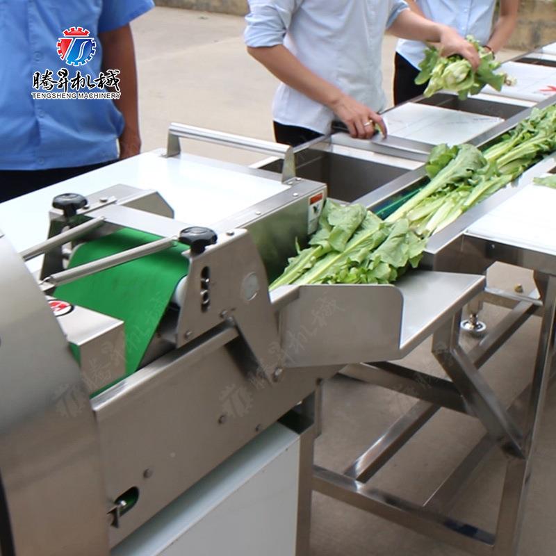 气泡清设洗机CJG提升机 大型切 割机 人工挑选分选台 蔬作果业线