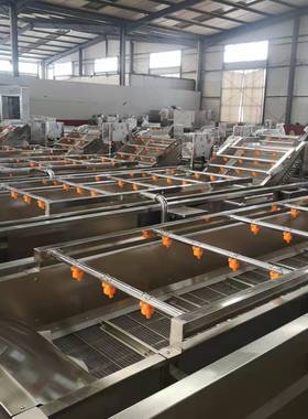 全自动IWR甜米清洗 杏鲍气泡机清洗玉机 翻浪式菇小龙虾清洗设备