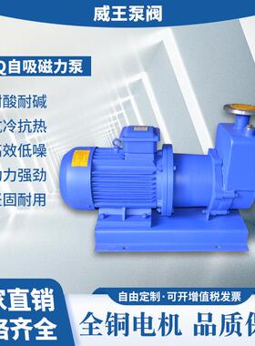 钢厂家直销卧式不锈304自吸式磁泵ZQ力1HBQ0C0-80-200耐腐蚀化工