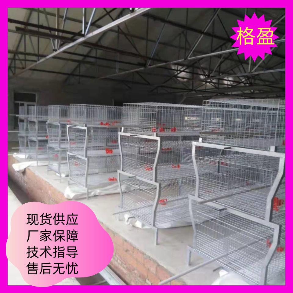 元宝肉鸡笼 半自动肉鸡笼 自动清粪 厂家价格优惠