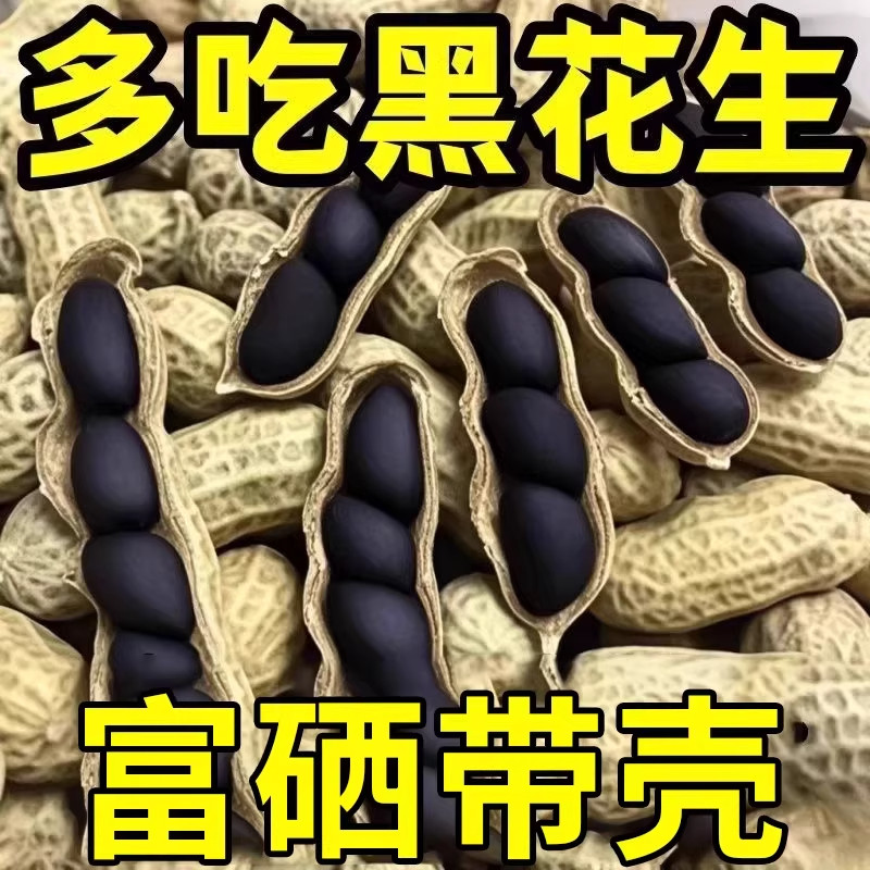 2026黑花生农家自产富硒黑花生带壳生吃甘甜自然晒干滋补杂粮批发