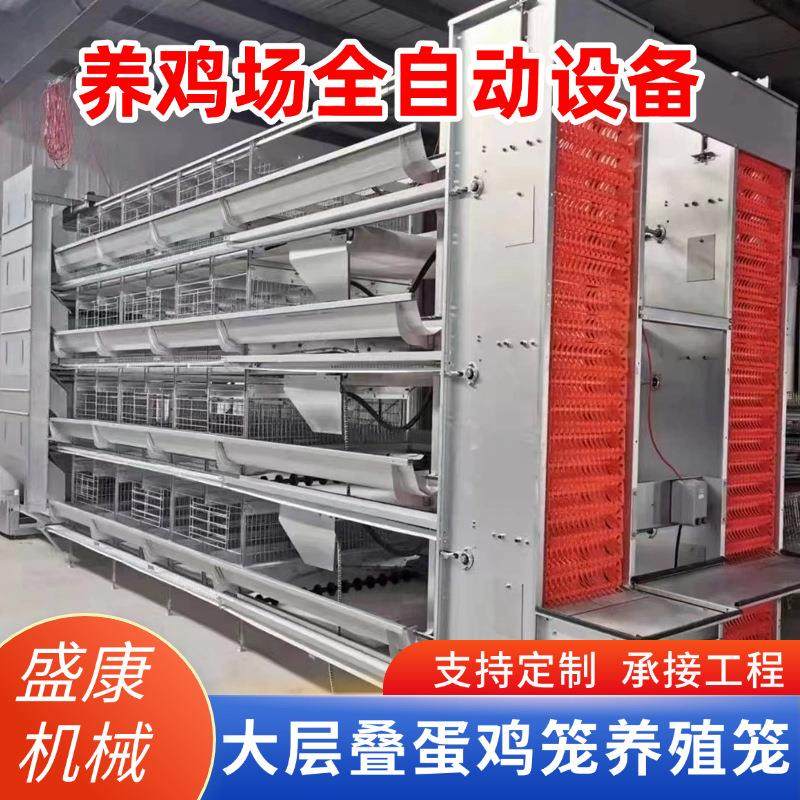 蛋鸡笼全自动捡蛋机一体化养鸡设备机械蛋鸡笼养殖鸡舍鸡场养殖笼