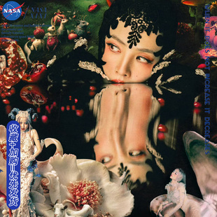 NASA蔡依林2026演唱会PLEASURE同款长袖T恤男秋季粉丝应援衣服