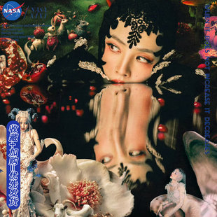 NASA蔡依林2026演唱会PLEASURE圆领卫衣男秋冬衣服粉丝应援外套潮