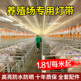 led养殖场专用灯带户外防水220V猪圈驱蚊神器户外超亮照明灯亮化