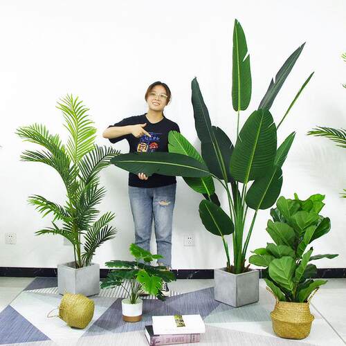 仿真绿植假盆栽仿真植物装饰客厅落地绿植家居绿植龟背仿真花