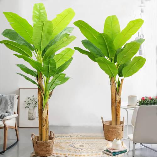 室内软装大型仿真植物芭蕉树盆栽橱窗落地装饰热带绿植香蕉树盆景