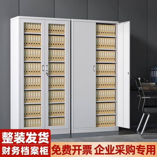 财务凭证柜文件柜办公室档案柜资料柜通玻分层会计专用铁皮储物柜